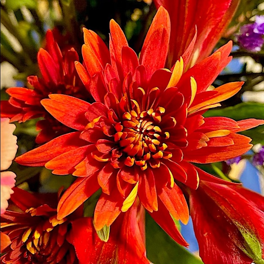 Enjoy Fall!
